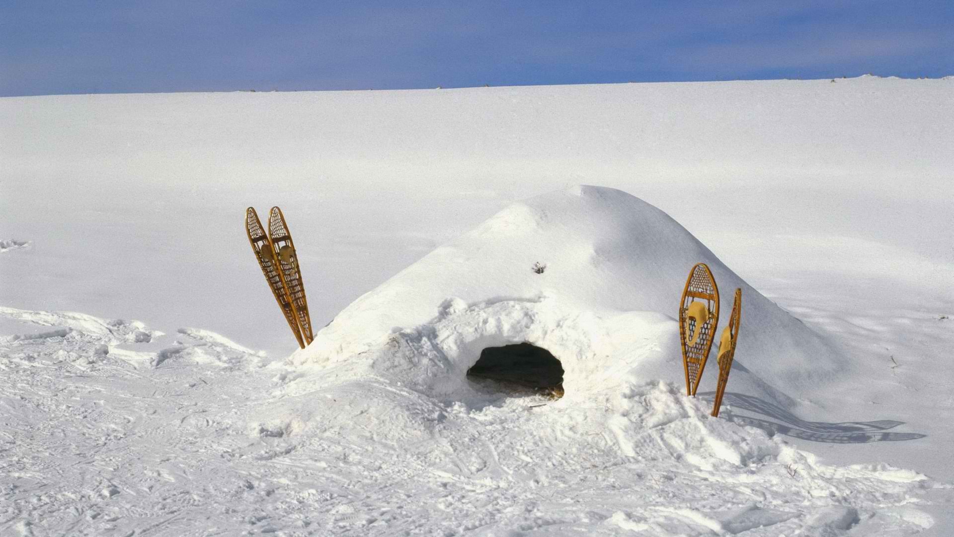 nature, Snow, Minnesota, Dodge Wallpaper