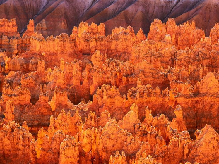 bryce, Canyon, Utah, National, Park HD Wallpaper Desktop Background
