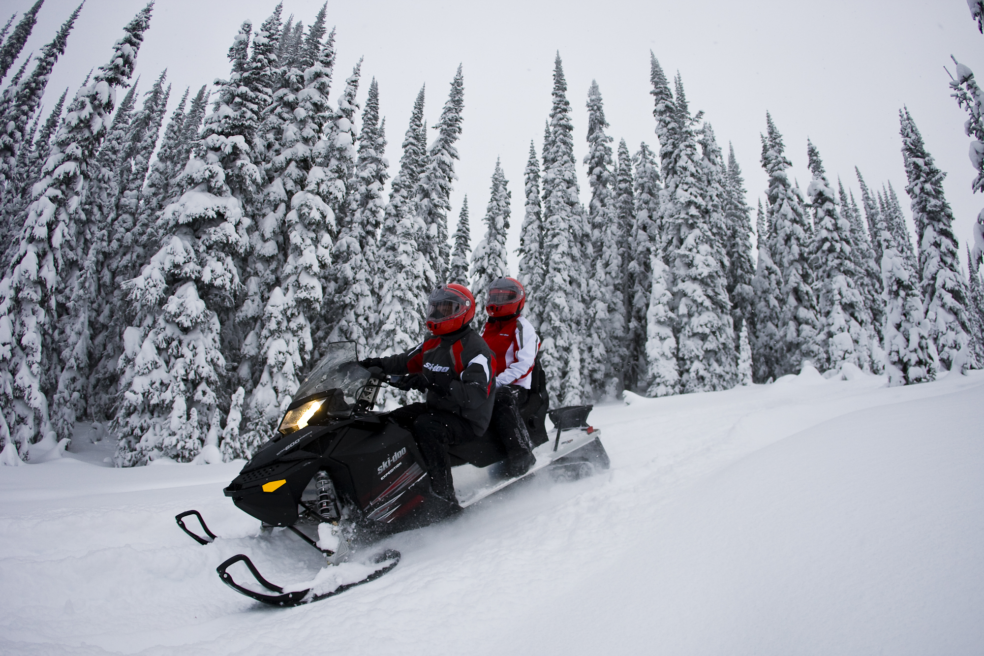 snowmobile, Winter, Snow Wallpaper