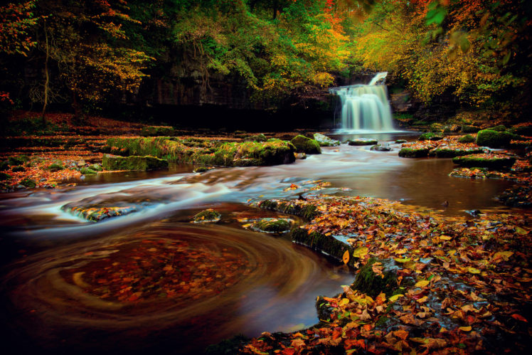 england, Waterfall, Forest, Yorkshire, Autumn HD Wallpaper Desktop Background