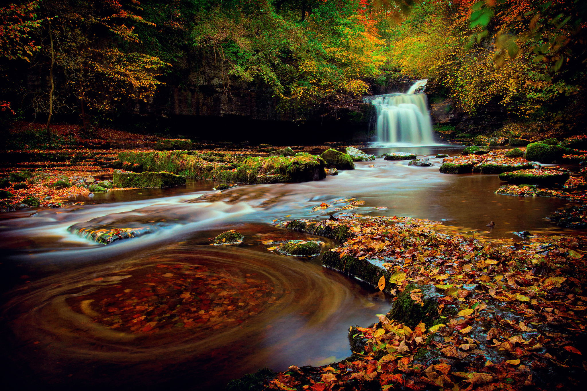 england, Waterfall, Forest, Yorkshire, Autumn Wallpaper