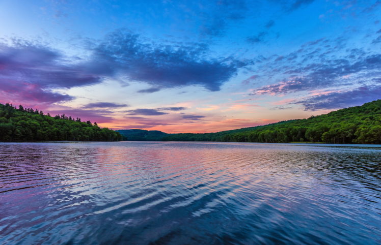 forest, Dawn, Morning, Lake, Reflection HD Wallpaper Desktop Background