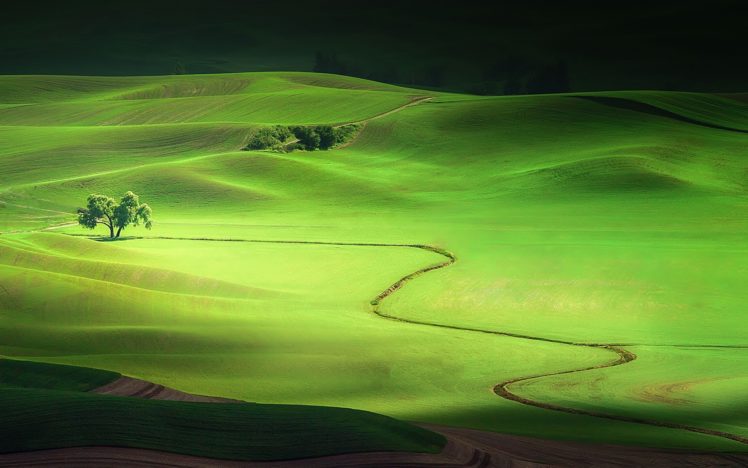 nature, Landscape, Summer, Relief, Tree HD Wallpaper Desktop Background