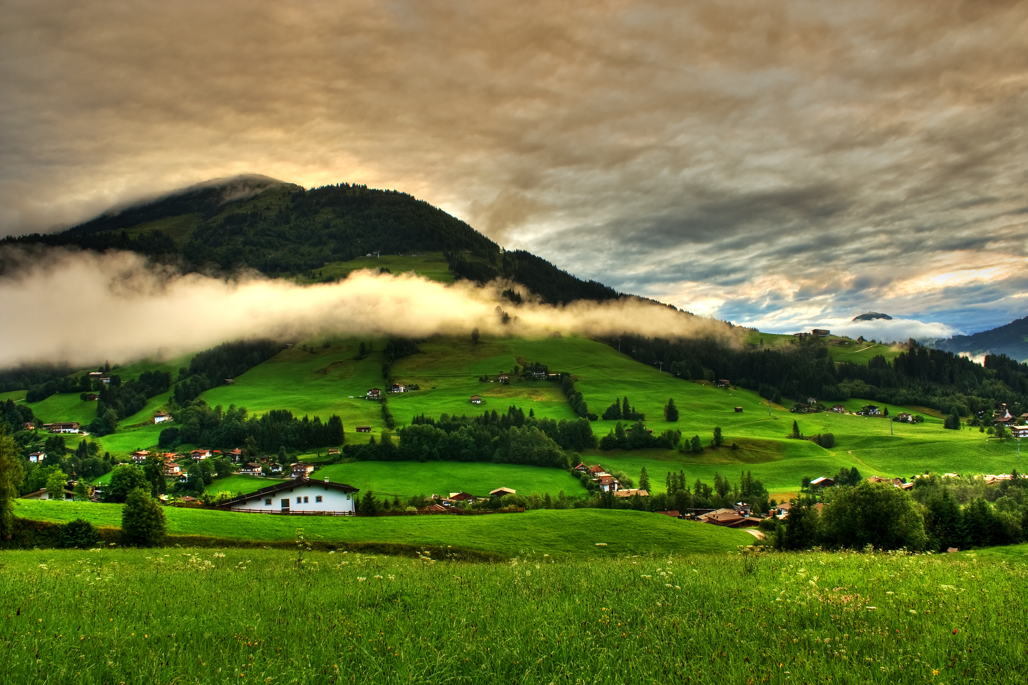 nature, Grass, Landscape, Trees Wallpapers HD / Desktop and Mobile