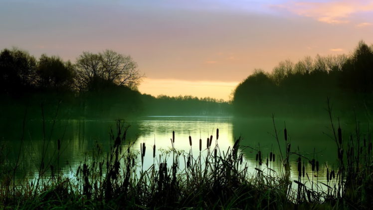 river, Evening, Bushes, Trees, Reflection HD Wallpaper Desktop Background