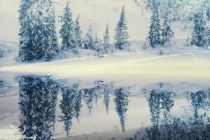 nature, Snow, Trees, Winter, Landscapes, Reflections, Watermark