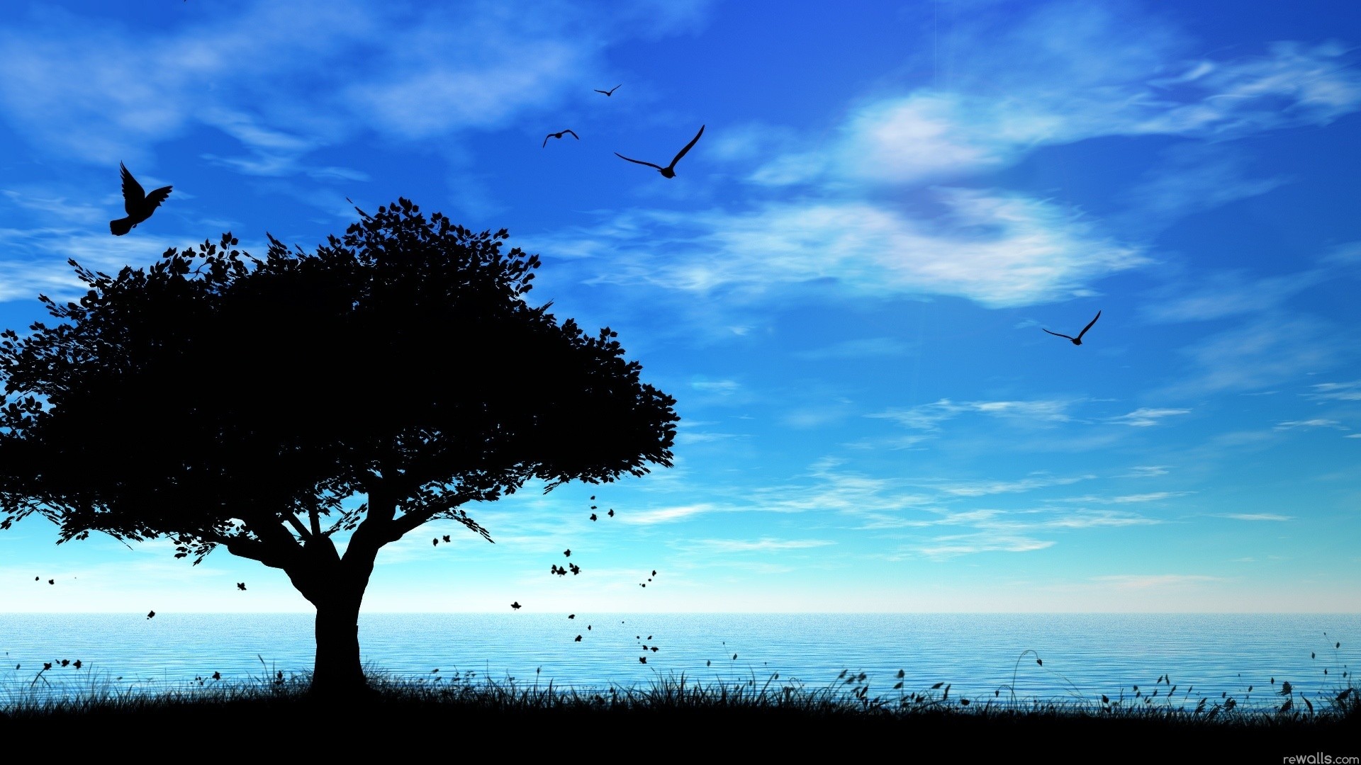 nature Wallpaper