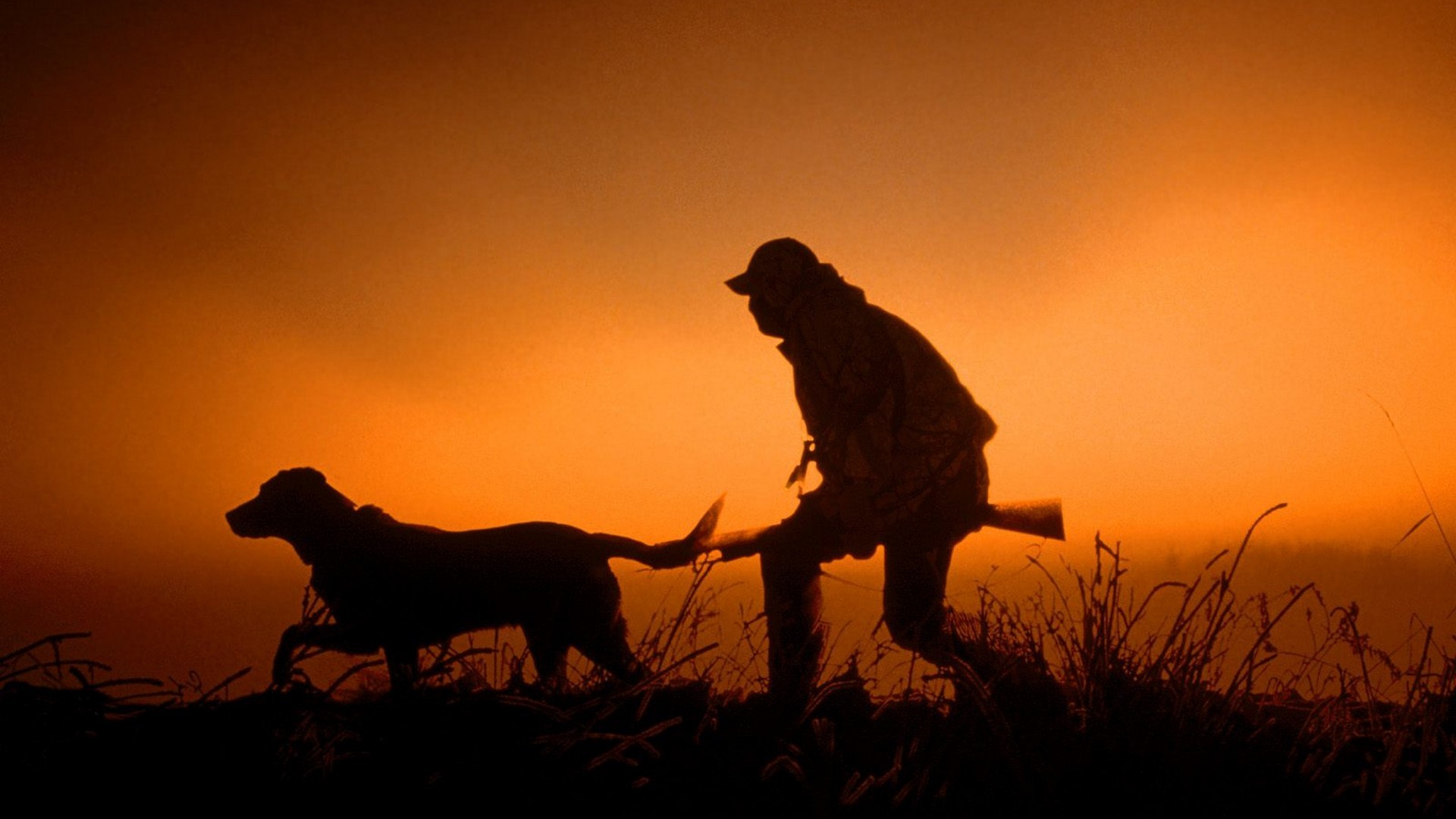 sunset, Guns, Dawn, Hunter, Silhouettes, Dogs, Dusk, Hunting Wallpaper
