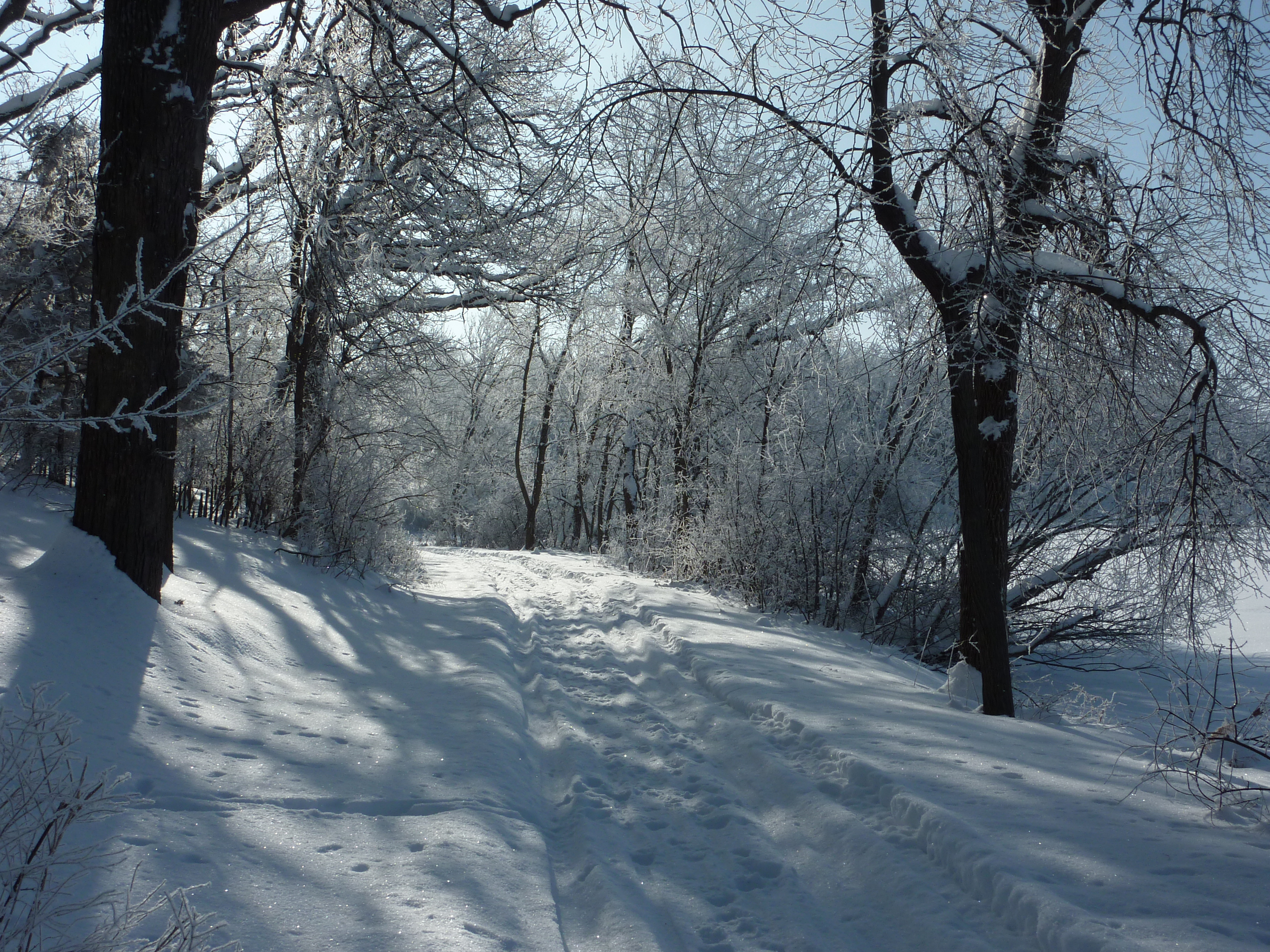 winter, Road, Trees, Landscape Wallpaper