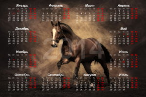 horses, Calendar, 2014, Animals, Horse