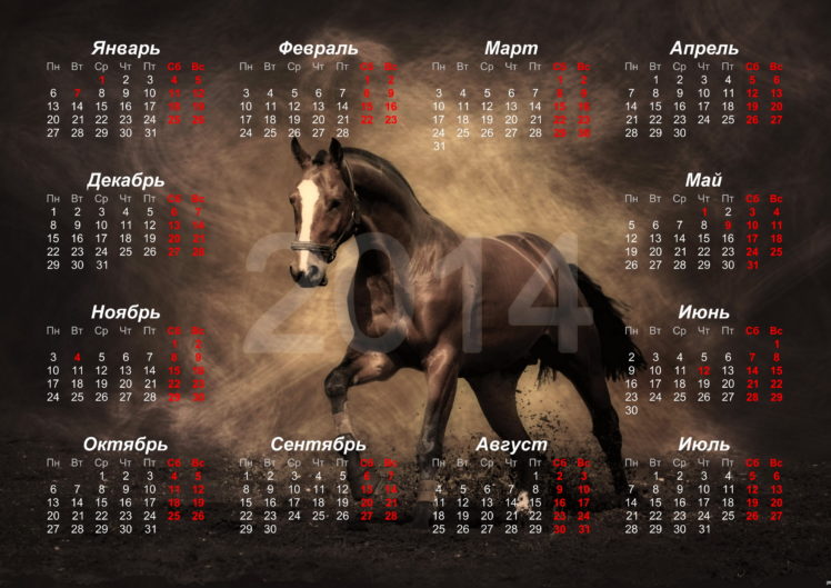 horses, Calendar, 2014, Animals, Horse HD Wallpaper Desktop Background