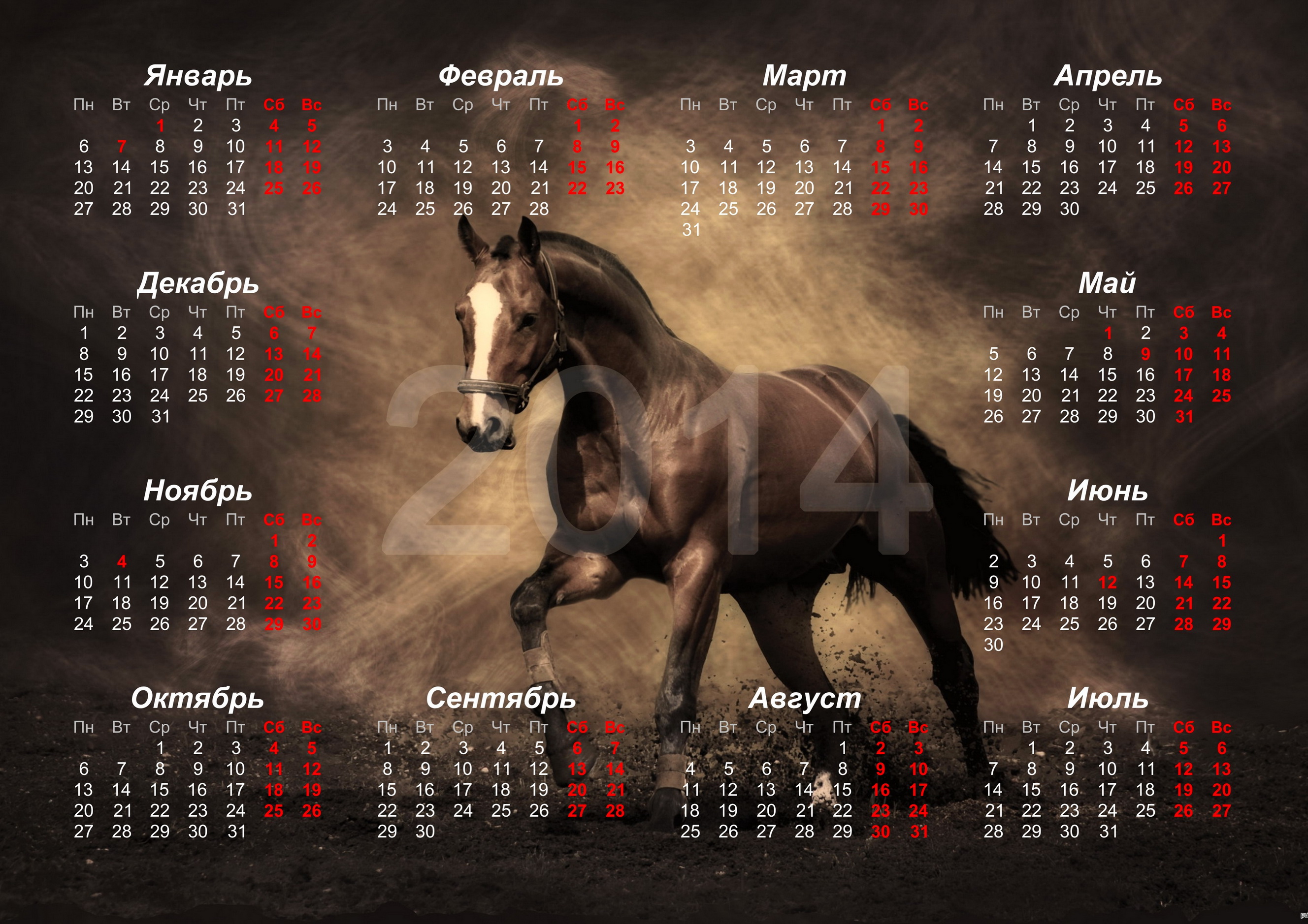 horses, Calendar, 2014, Animals, Horse Wallpapers HD / Desktop and