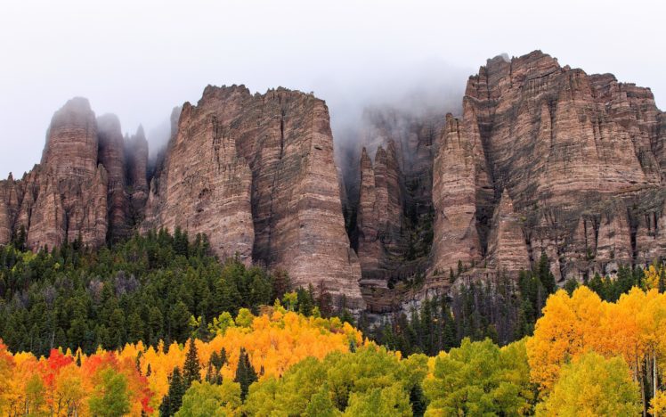 trees, Rocks, Mist HD Wallpaper Desktop Background