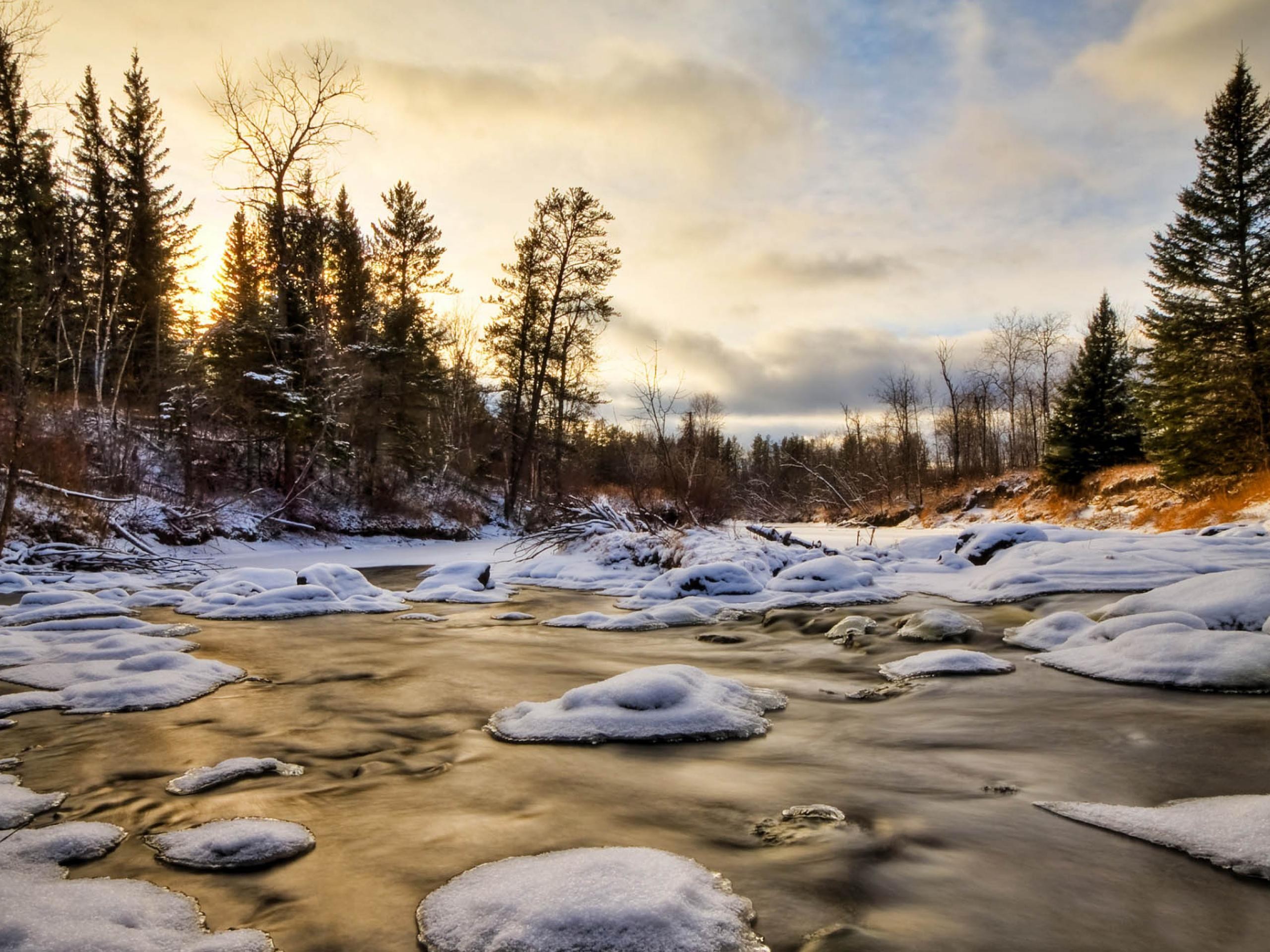 landscapes, Nature, Trees Wallpaper