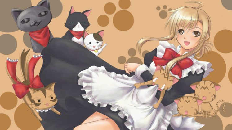 blondes, Cats, Maids, Nyan, Koi, Anime, Girls, Mizuno, Kaede, Nyamsus HD Wallpaper Desktop Background