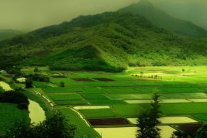 mountains, Landscapes, Nature, Green, Field, Rivers, Farm