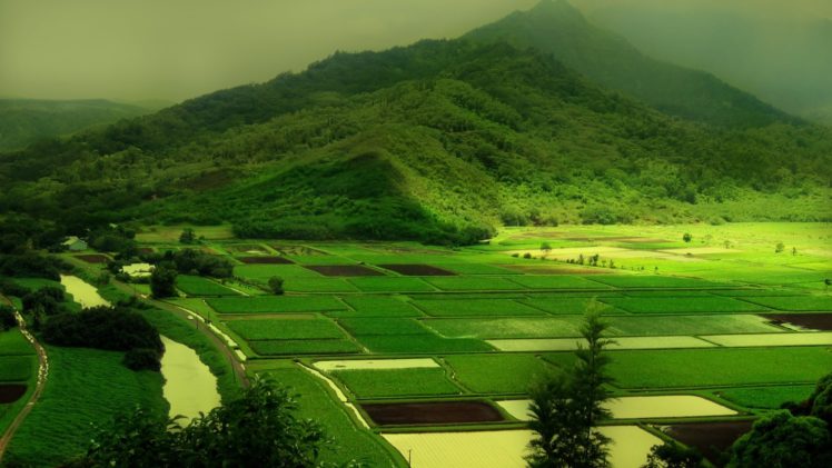 mountains, Landscapes, Nature, Green, Field, Rivers, Farm HD Wallpaper Desktop Background