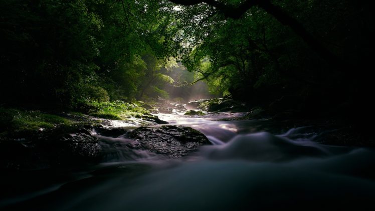 water, Trees, Cold, Rivers HD Wallpaper Desktop Background