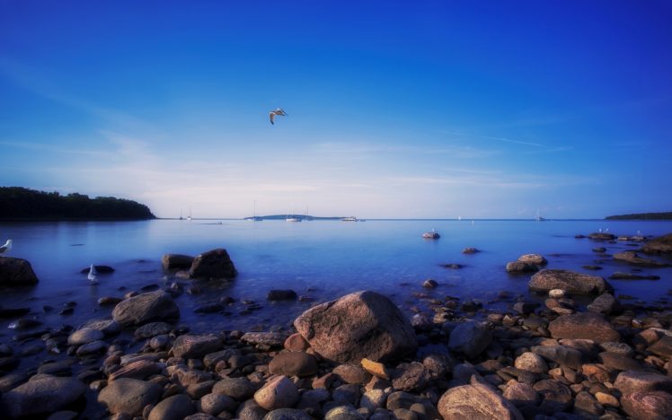 water, Landscapes, Nature, Coast, Birds, Rocks, Canada, Seagulls, Skyscapes, Sea HD Wallpaper Desktop Background