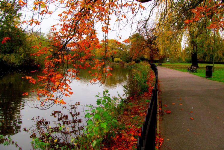 autumn, Nature, Trees, Walk, River, Park, Hdr, Leaves, Alley, Forest HD Wallpaper Desktop Background