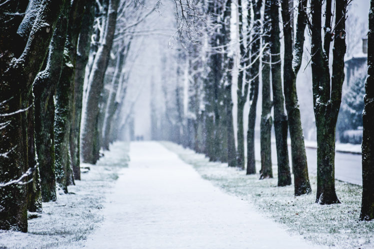 city, Winter, Alley, Trees, Snow HD Wallpaper Desktop Background