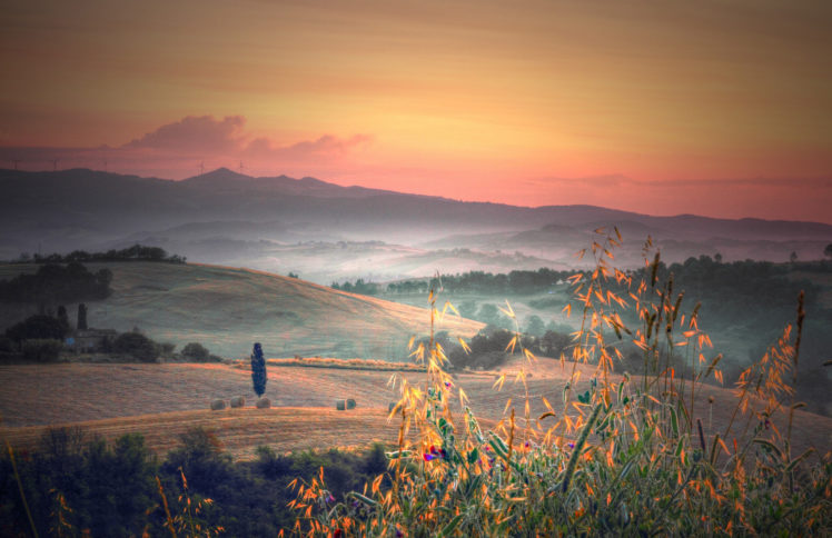 italy, Tuscany, Hills, Trees, Fields, Plants, Grass, Morning, Dawn, Fog, Autumn HD Wallpaper Desktop Background