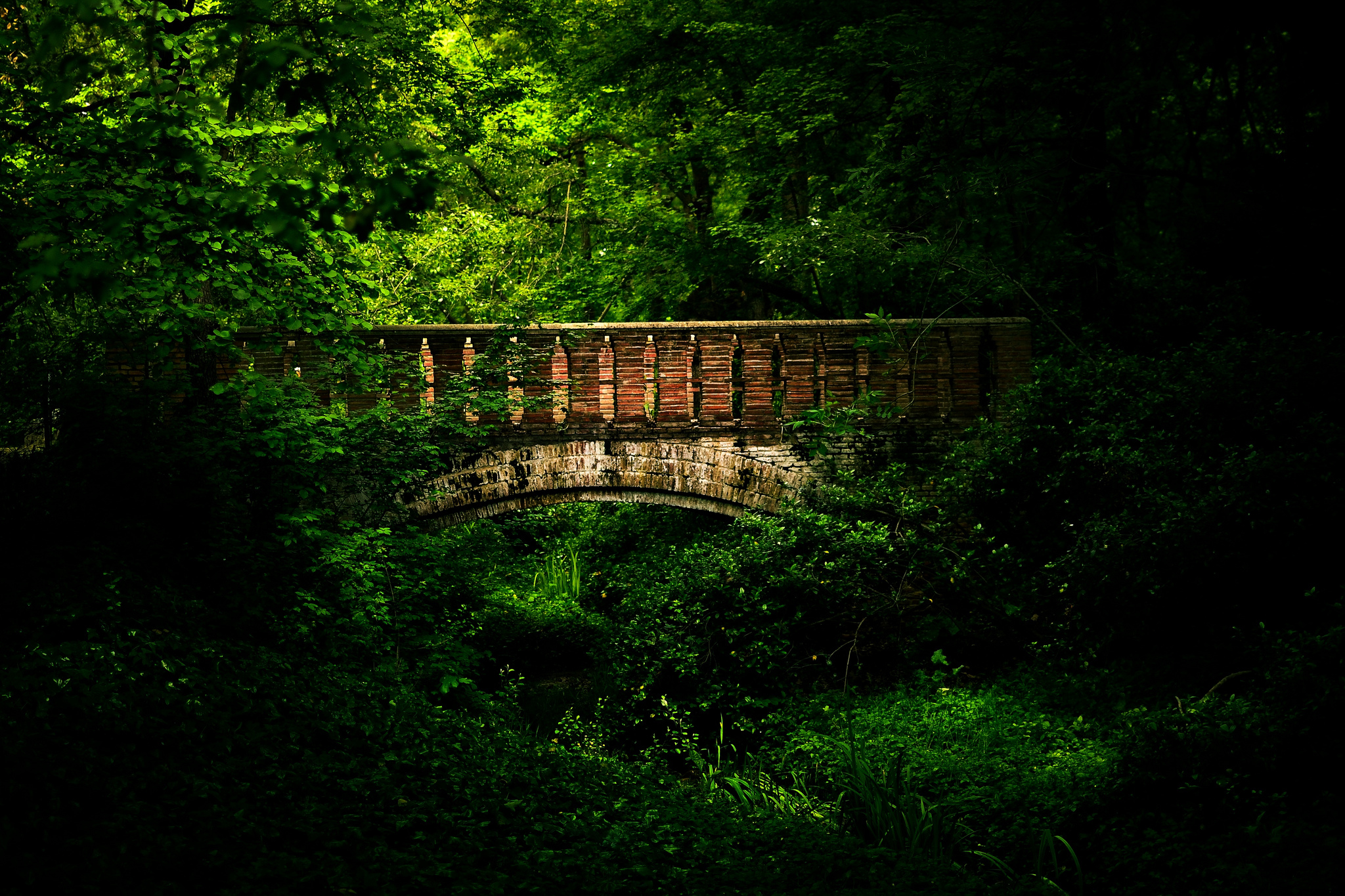 madrid, Park, Trees, Herbs, Summer, Bridge, Forest Wallpaper