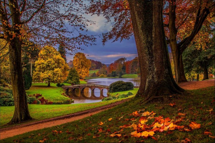 nature, Hdr, Forest, Park, Walk, River, Autumn, Trees, Alley, Leaves HD Wallpaper Desktop Background