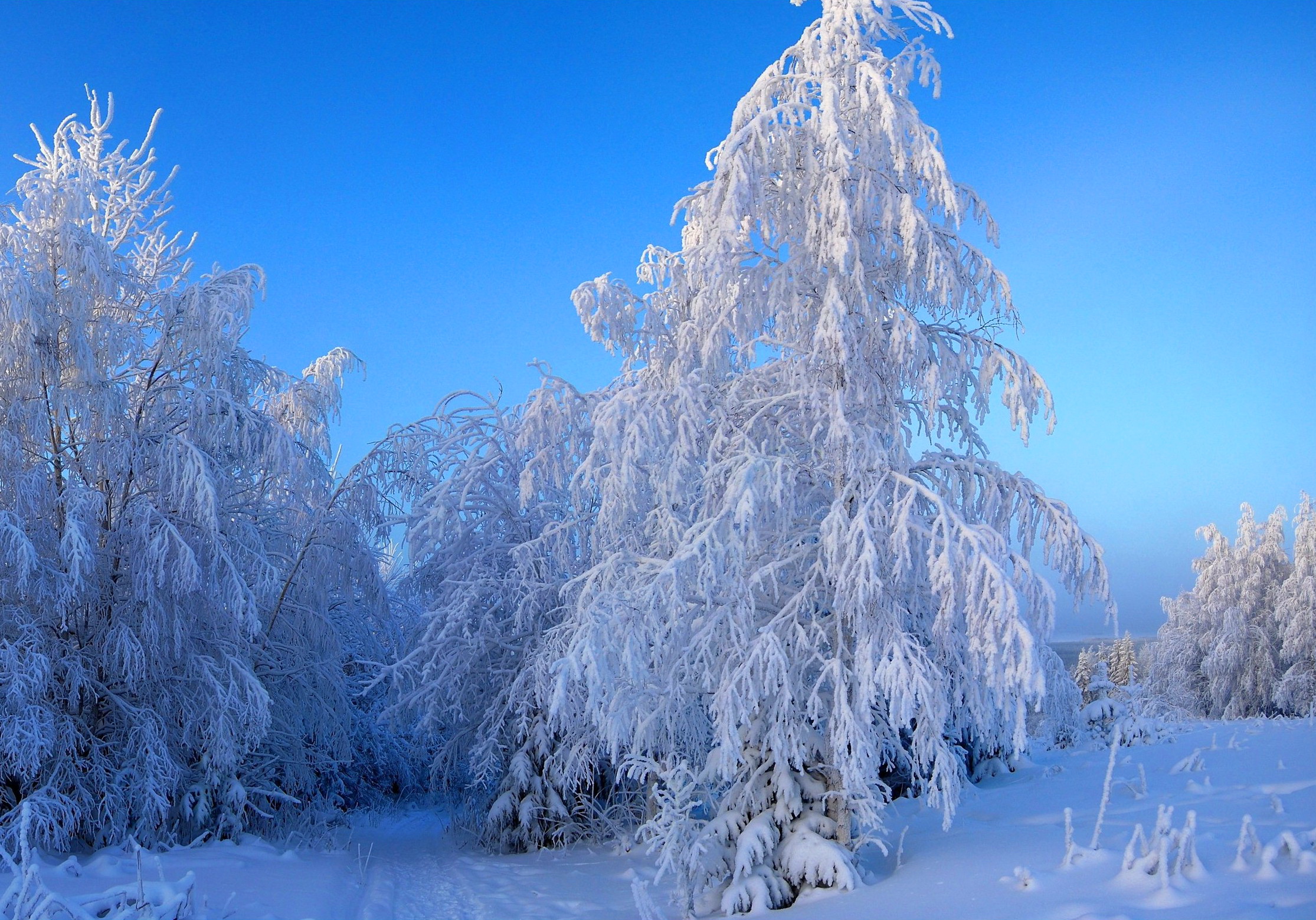 seasons, Winter, Snow, Nature Wallpapers HD / Desktop and Mobile ...