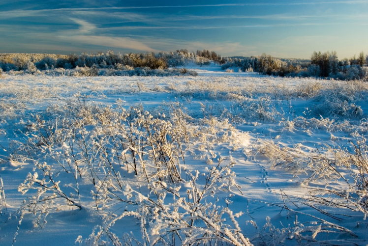 seasons, Winter, Snow, Nature HD Wallpaper Desktop Background