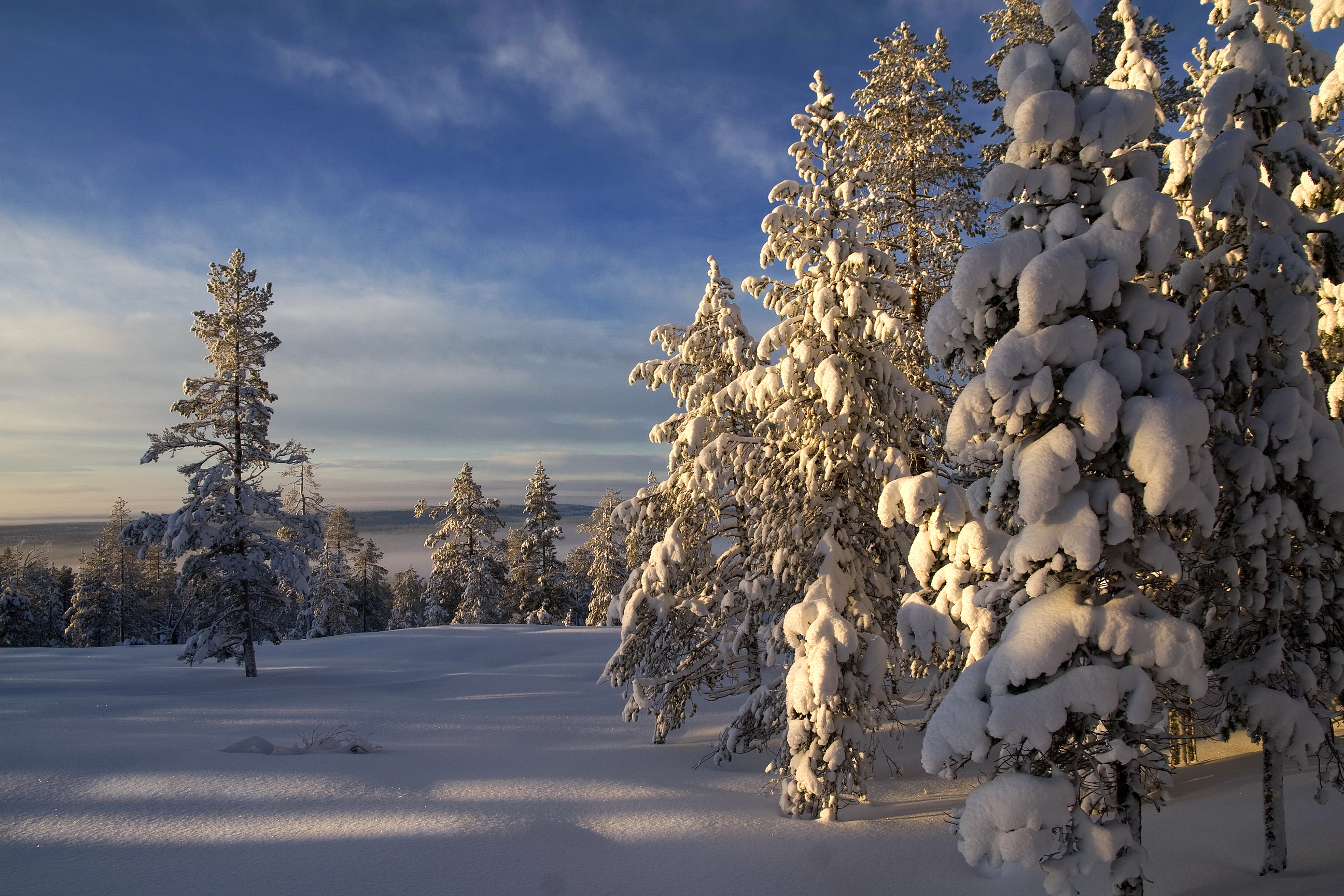 Зимние рабочие обои. Зимняя природа. Красивая зима. Зимние картинки. Красивые зимние пейзажи природы.