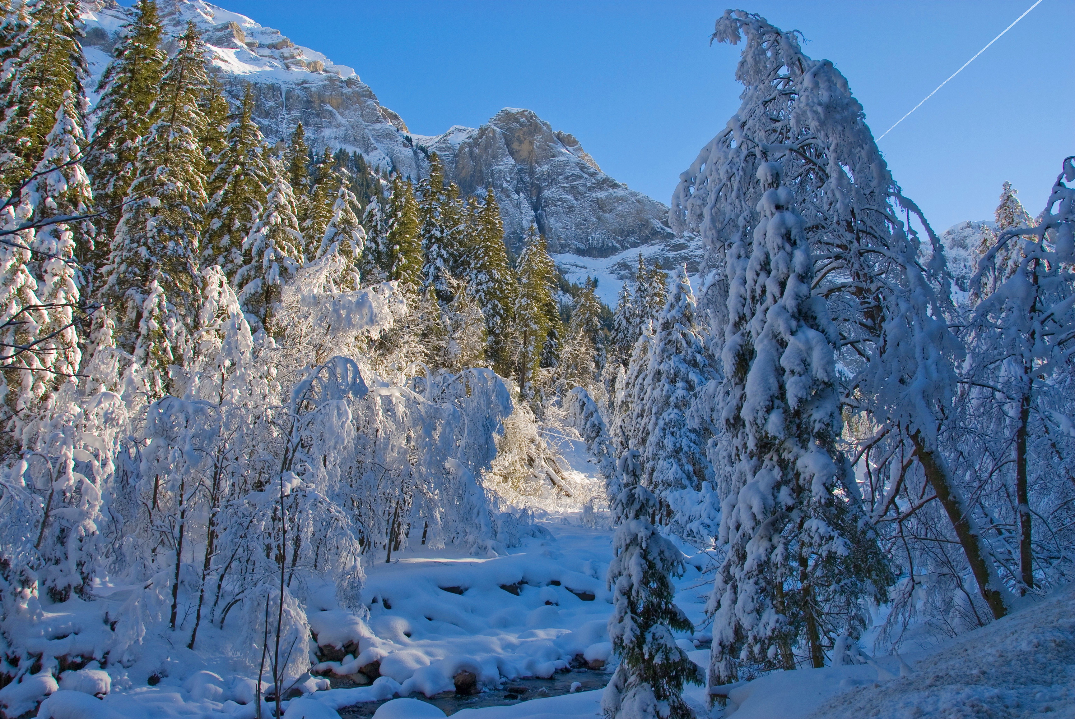 seasons, Winter, Snow, Nature Wallpaper