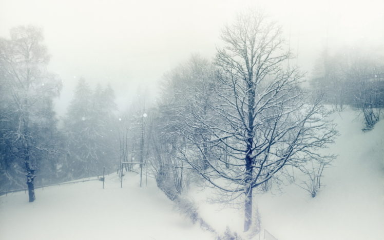 snow, Winter, Nature, Trees HD Wallpaper Desktop Background