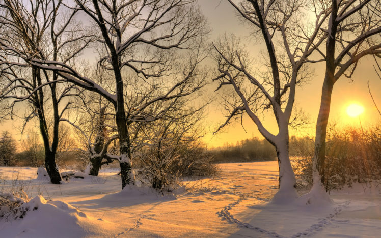 snow, Winter, Sun, Tree HD Wallpaper Desktop Background