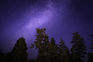 stars, Trees, Night, Sky
