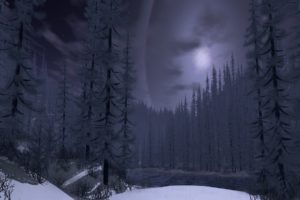 winter, Nature, Forest, Snow, Moon, Tree