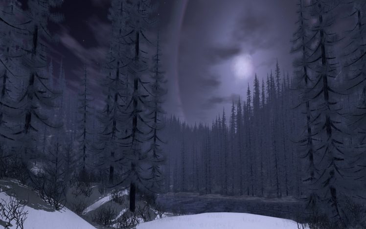 winter, Nature, Forest, Snow, Moon, Tree HD Wallpaper Desktop Background