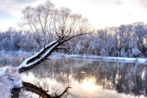 winter, Nature, Landscape, River, Trees, Shrubs, Shore, Snow, Reflection