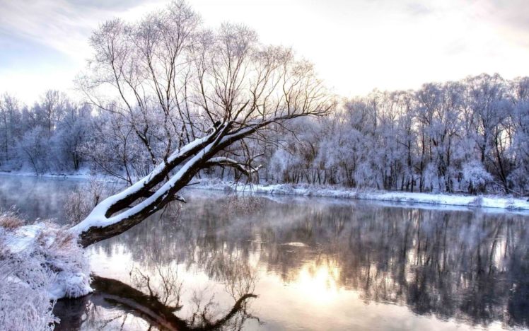 winter, Nature, Landscape, River, Trees, Shrubs, Shore, Snow, Reflection HD Wallpaper Desktop Background