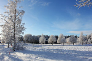 winter, Trees, Landscape