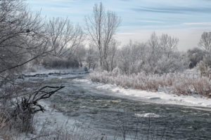 winter, Trees, River, Landscape