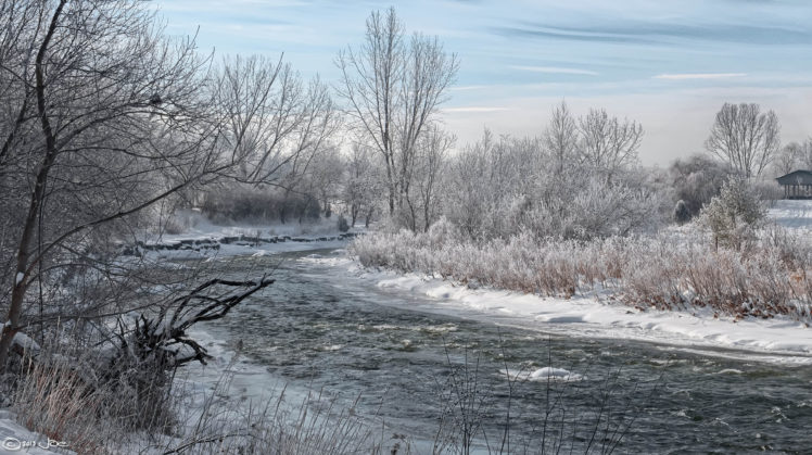 winter, Trees, River, Landscape HD Wallpaper Desktop Background