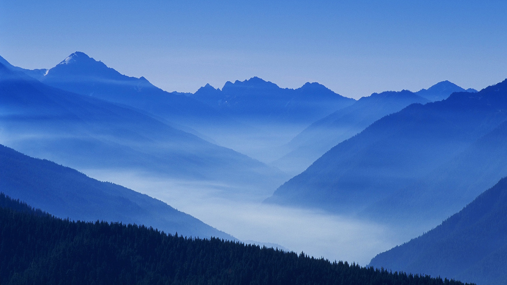 Fog Bound Mountains