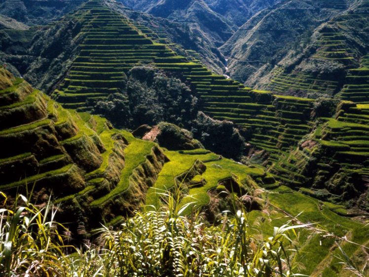 mountains, Landscapes, Nature, Rice, Terraces HD Wallpaper Desktop Background