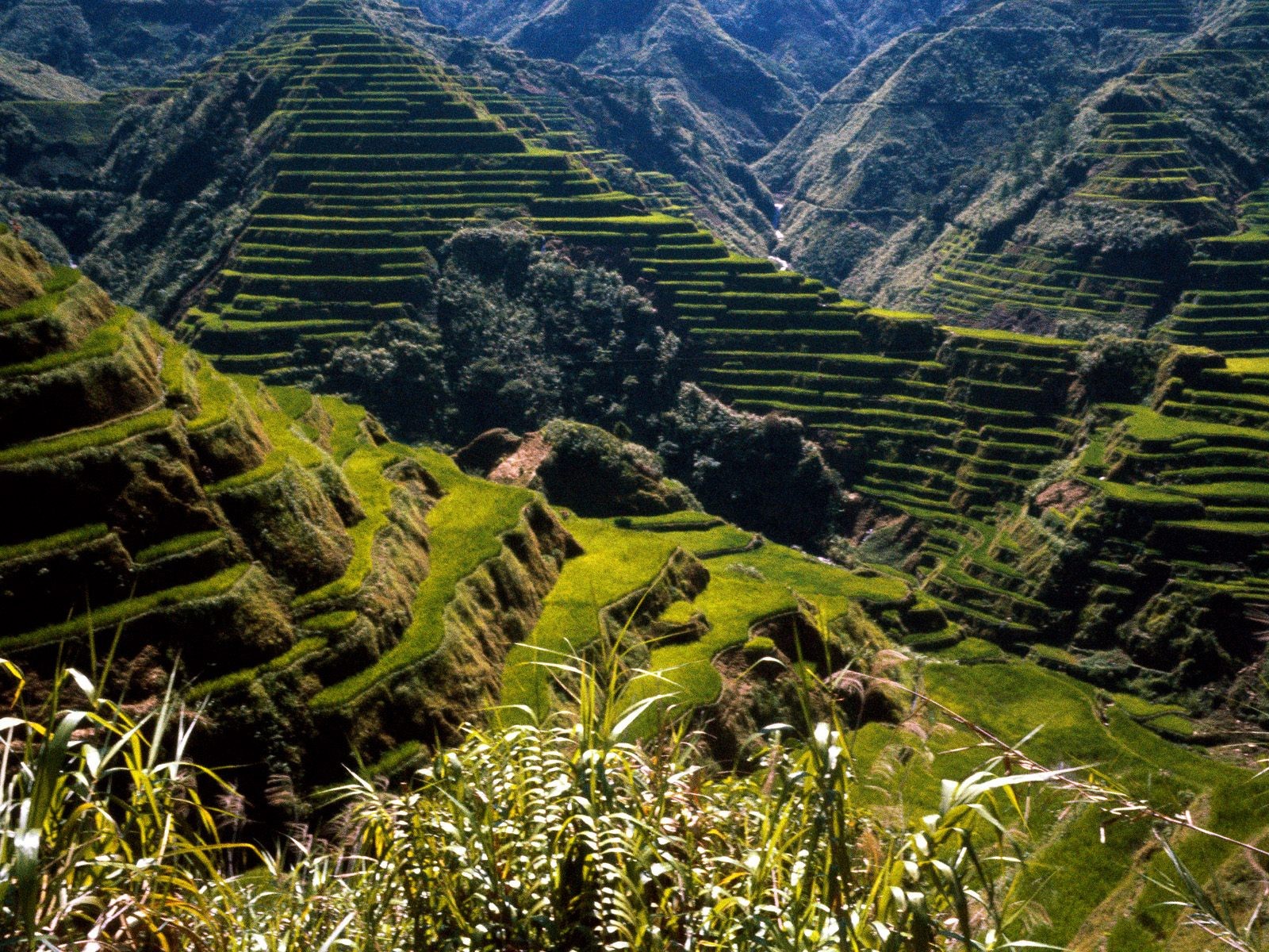 mountains, Landscapes, Nature, Rice, Terraces Wallpaper