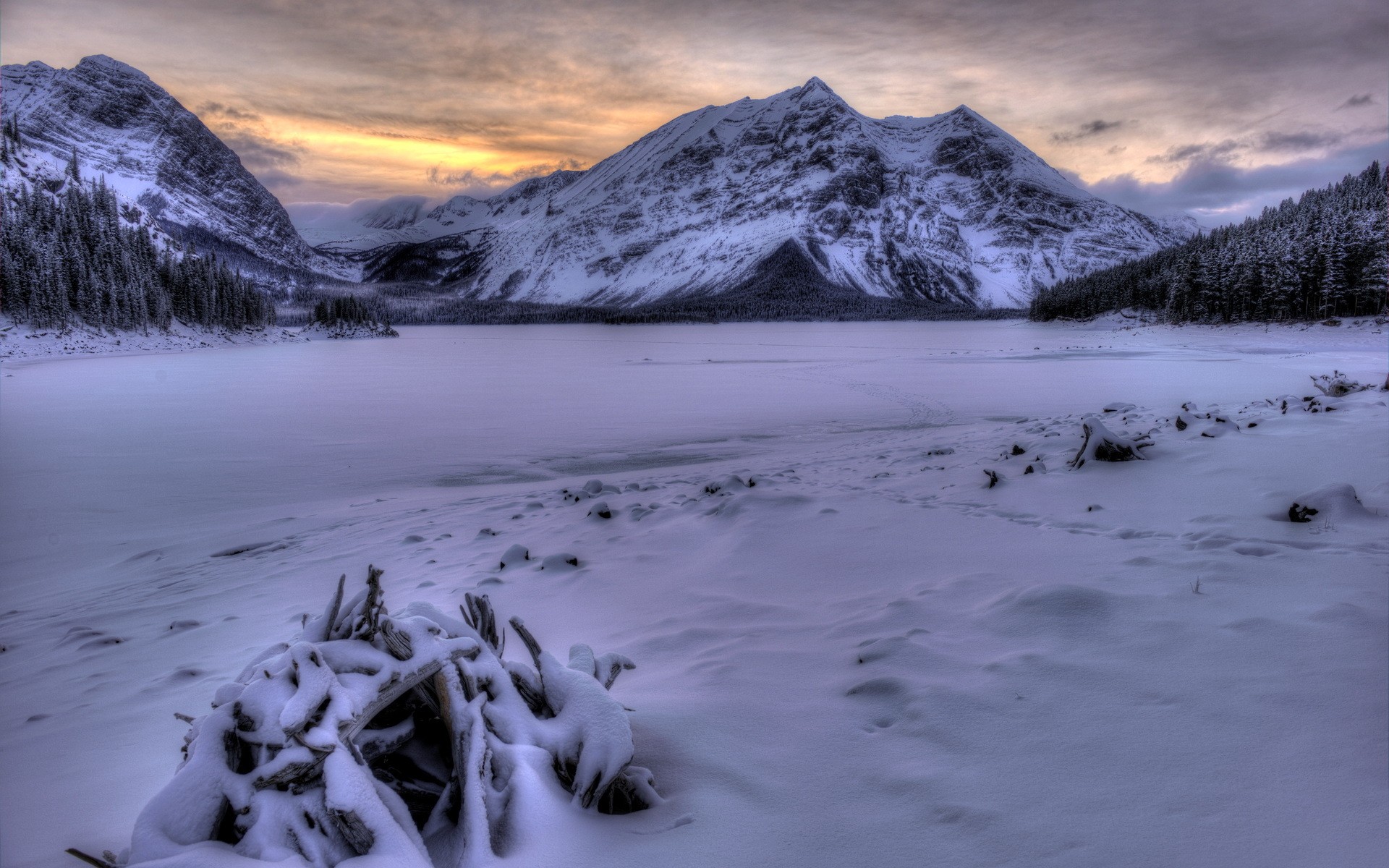 nature Wallpaper