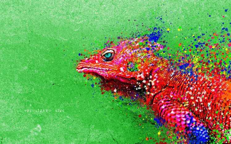 paintings, Lizards, Reptiles, Iguana, Colors HD Wallpaper Desktop Background