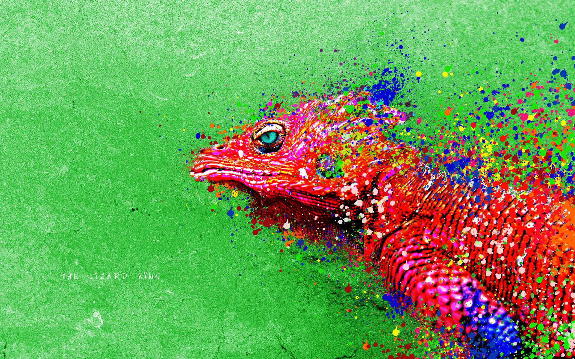 paintings, Lizards, Reptiles, Iguana, Colors Wallpaper