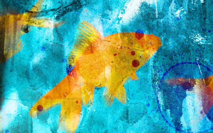 fish, Textures, Goldfish HD Wallpaper Desktop Background