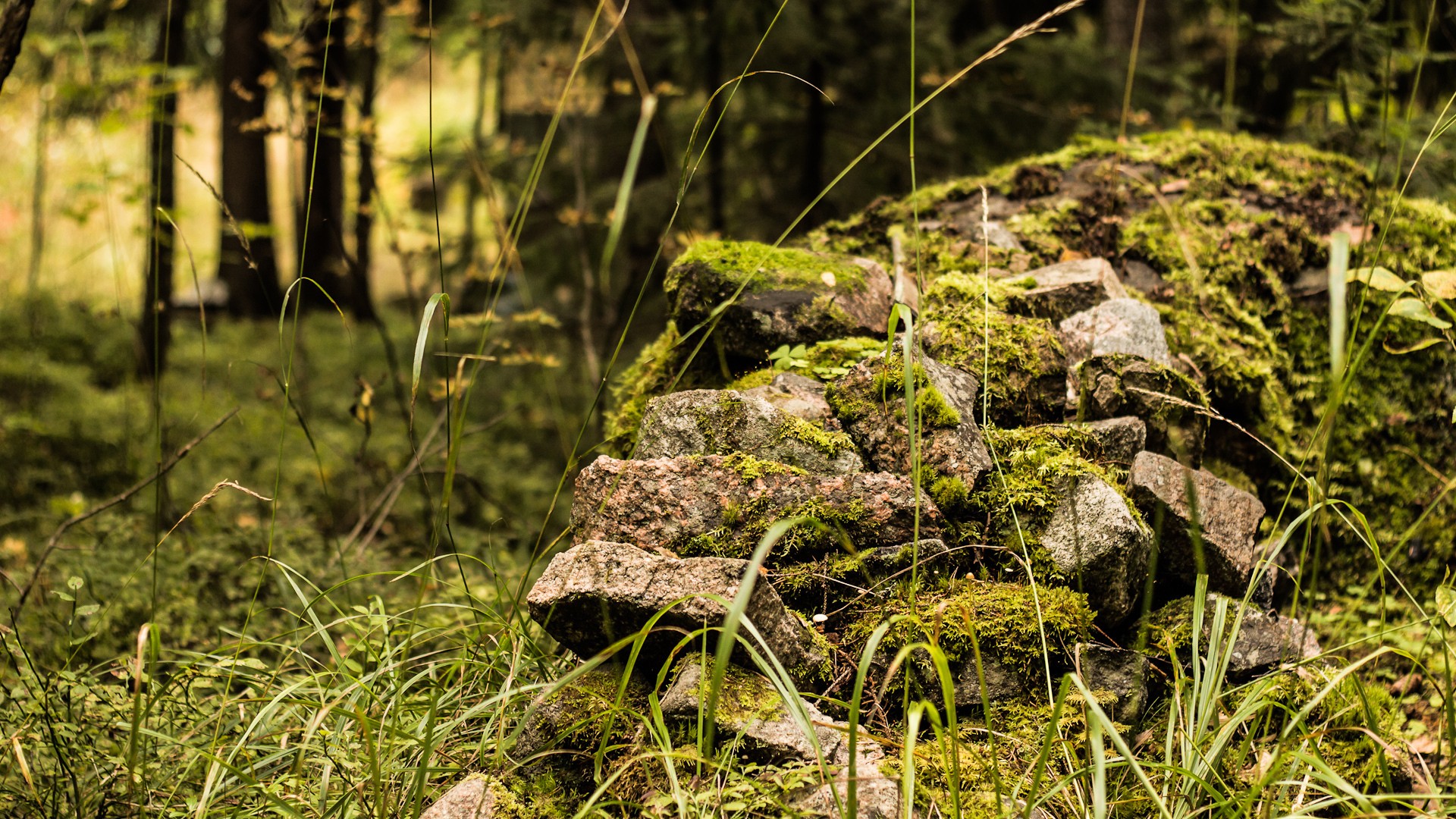 landscapes, Nature Wallpaper